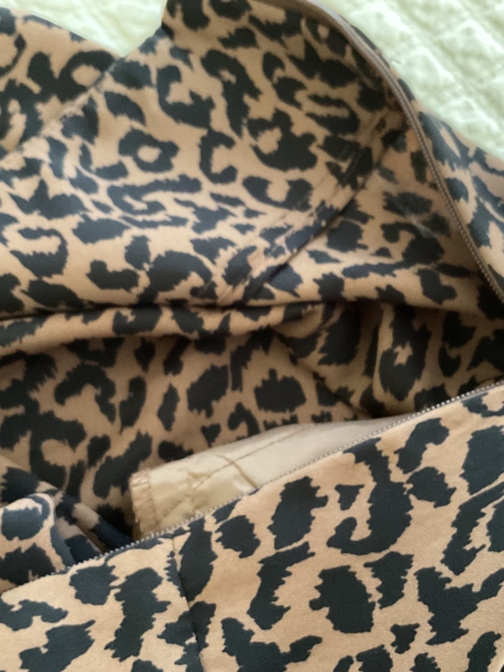 Loft Leopard Print Shorts - Picture 5 of 7